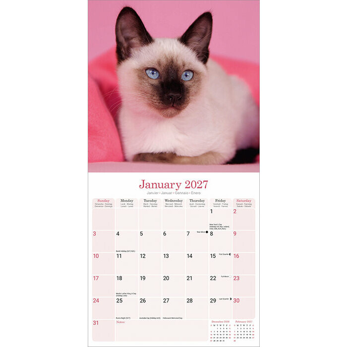 Calendrier 2027 Chat Siamois