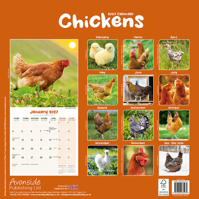 Calendrier 2027 Poule Calendrier Papier 2027 Poule
