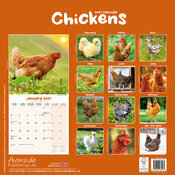 Calendrier 2027 Poule Calendrier Papier 2027 Poule