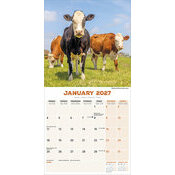 Calendrier 2027 Vache Calendrier 2027 Vache