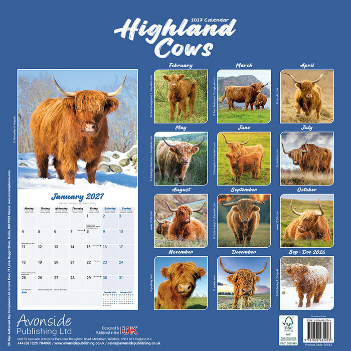Calendrier Papier 2027 Vache Highland