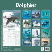 Calendrier 2027 Dauphin Calendrier Papier 2027 Dauphin