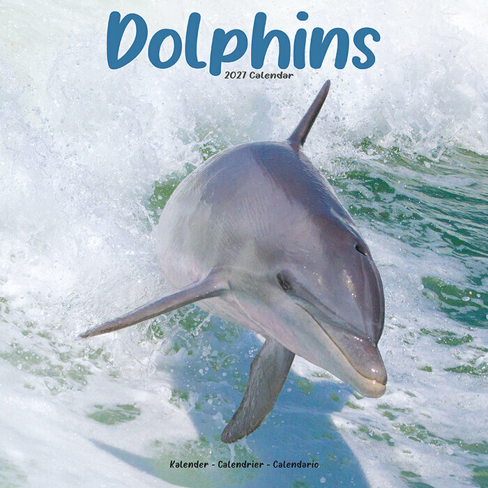 Calendrier 2027 Dauphin Calendrier Mural 2027 Dauphin