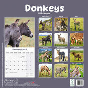 Calendrier Papier 2027 Ane