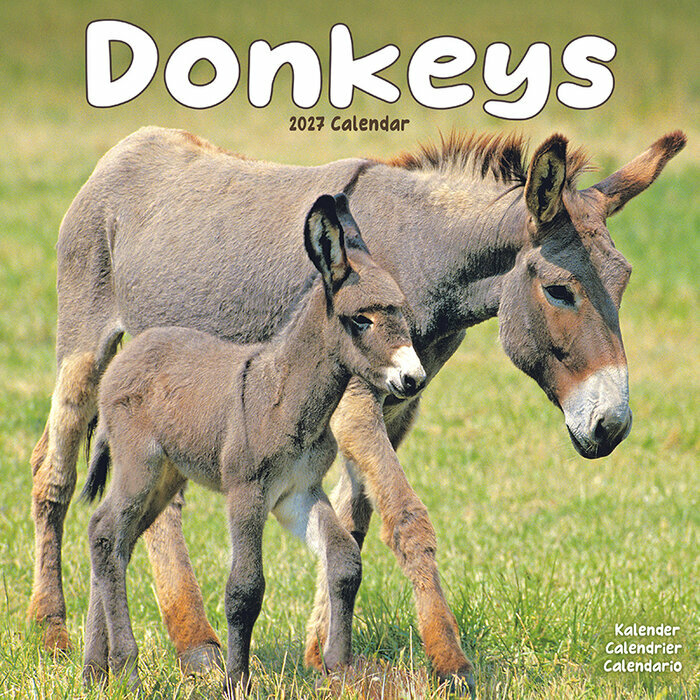 Calendrier Mural 2027 Ane