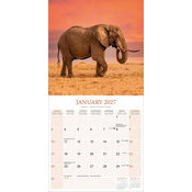 Calendrier 2027 Eléphant Calendrier 2027 Eléphant