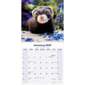 Calendrier 2027 Furet Calendrier 2027 Furet