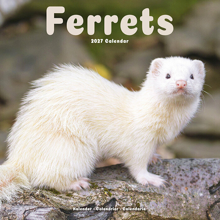 Calendrier 2027 Furet Calendrier Mural 2027 Furet