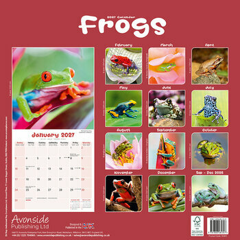 Calendrier 2027 Grenouille