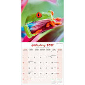 Calendrier 2027 Grenouille