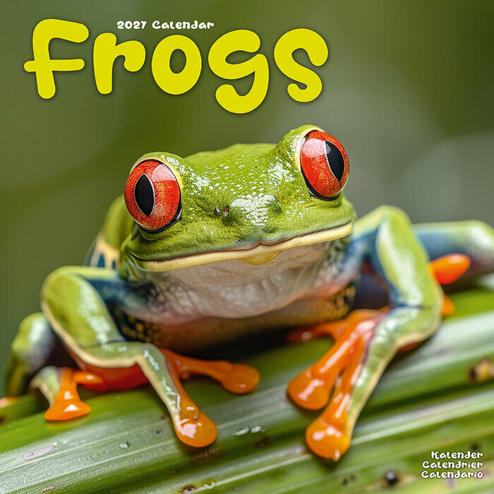 Calendrier 2027 Mural Grenouille