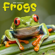 Calendrier 2027 Mural Grenouille