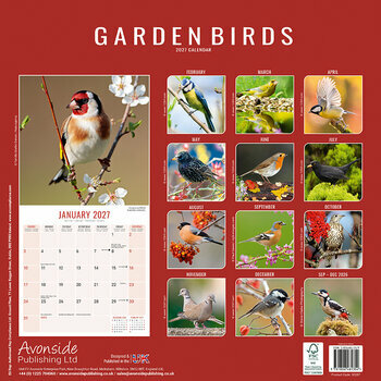 Calendrier 2027 Oiseaux du Jardin Rouge Gorge