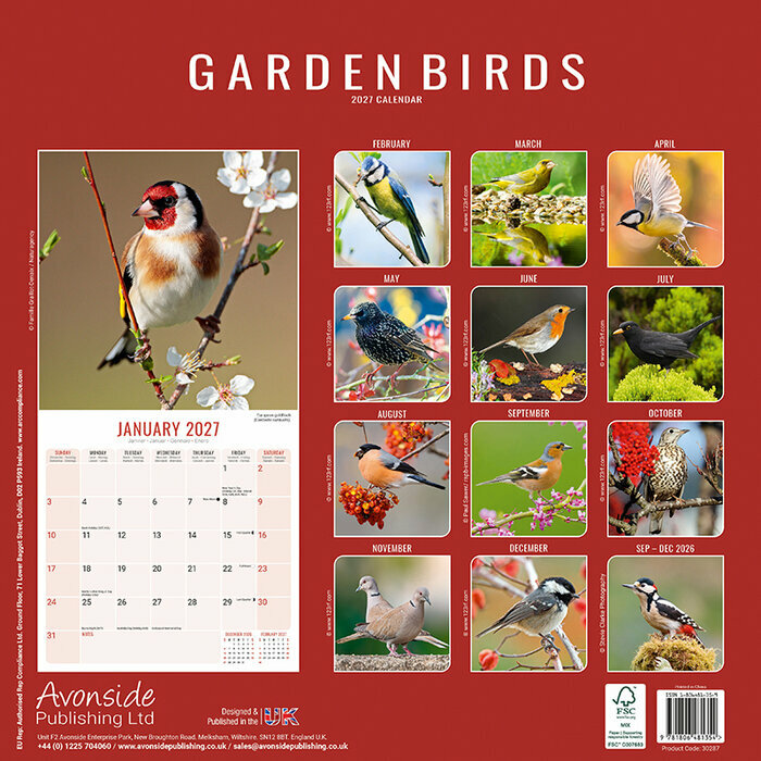 Calendrier 2027 Oiseaux du Jardin Rouge Gorge Calendrier Papier 2027 Oiseaux du Jardin Rouge Gorge