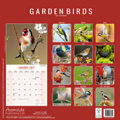 Calendrier 2027 Oiseaux du Jardin Rouge Gorge Calendrier Papier 2027 Oiseaux du Jardin Rouge Gorge