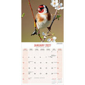 Calendrier 2027 Oiseaux du Jardin Rouge Gorge Calendrier 2027 Oiseaux du Jardin Rouge Gorge