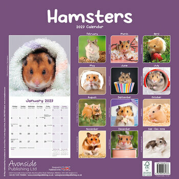 Calendrier 2027 Hamster