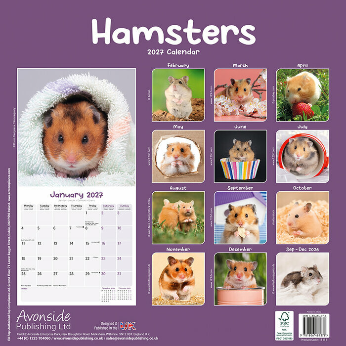 Calendrier 2027 Hamster Calendrier Mural 2027 Hamster