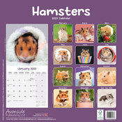 Calendrier 2027 Hamster Calendrier Mural 2027 Hamster