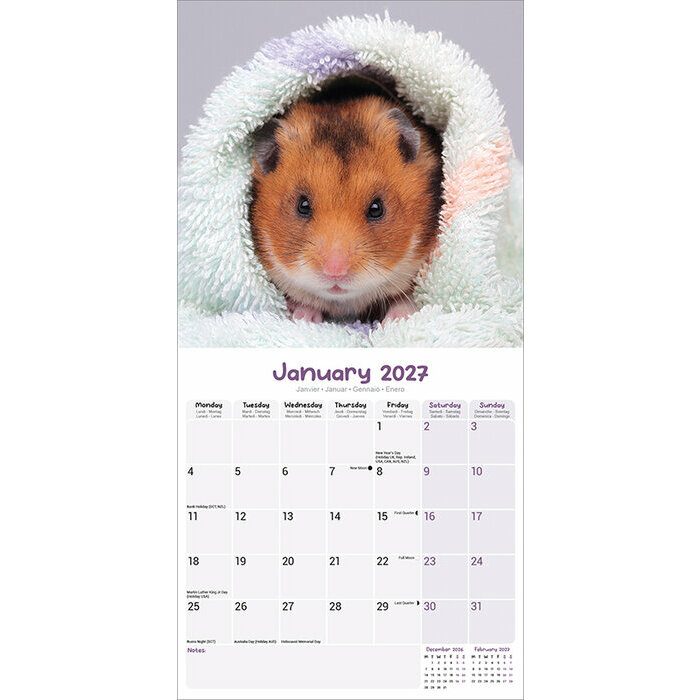 Calendrier 2027 Hamster Calendrier 2027 Hamster
