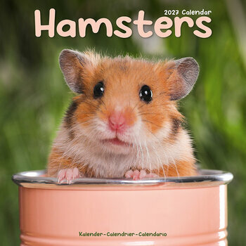 Calendrier 2027 Hamster
