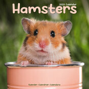 Calendrier 2027 Hamster Calendrier 2027 Hamster fleur