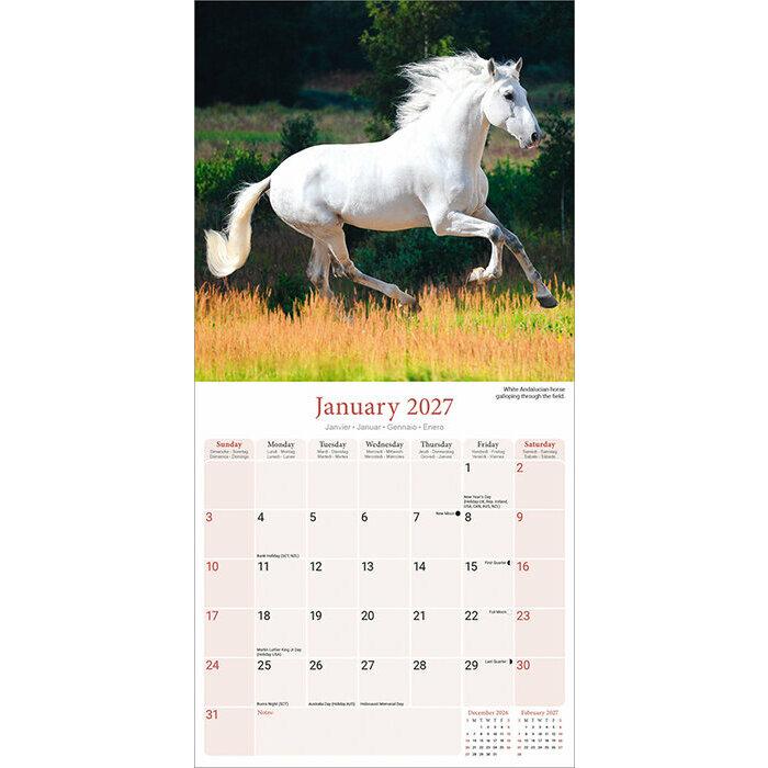 Calendrier 2027 Cheval
