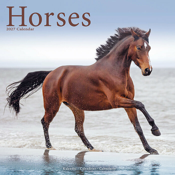 Calendrier 2027 Chevaux marron