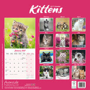 Calendrier 2027 Chaton Calendrier 2027 Chatons