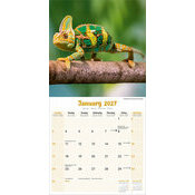 Calendrier 2027 camel�on