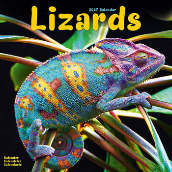 Calendrier 2027 L&eacute;zard