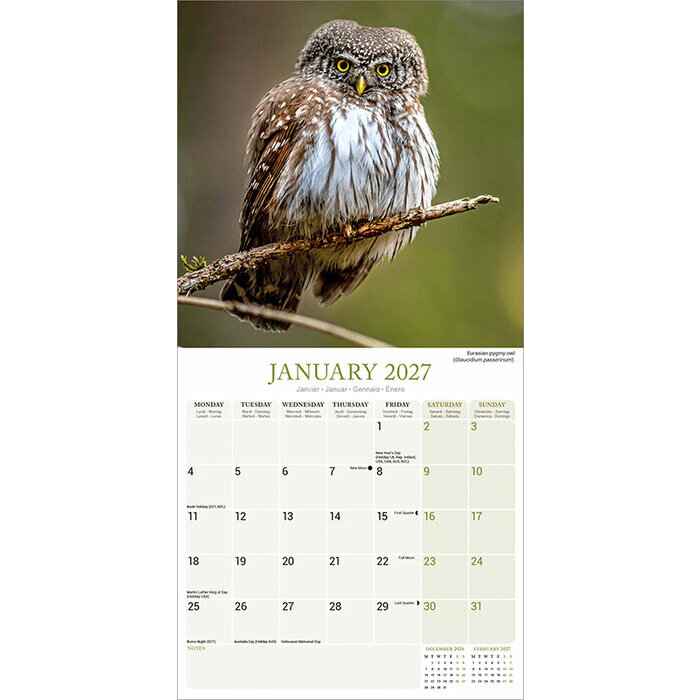 Calendrier 2027 mural hiboux Chouette
