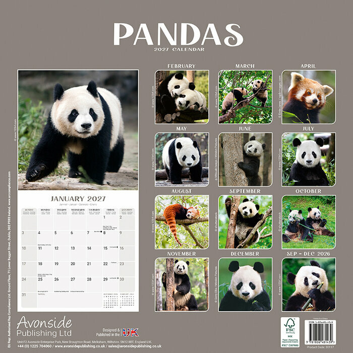 Calendrier 2027 Panda papier