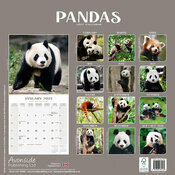Calendrier 2027 Panda papier