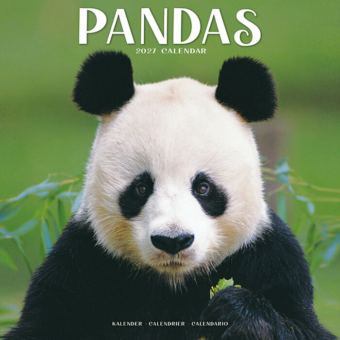 Calendrier mural 2027 Panda