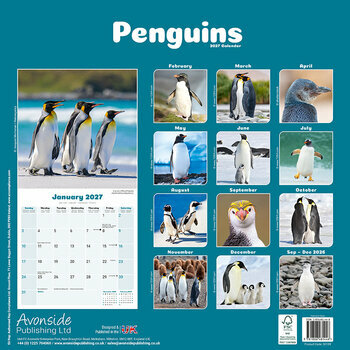 Calendrier 2027 Pingouin