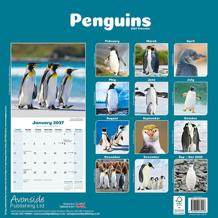 Calendrier Mural 2027 Pingouin