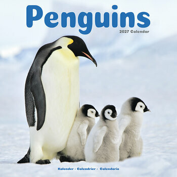 Calendrier 2027 Pingouin