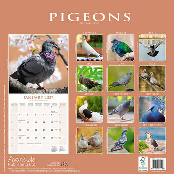 Calendrier 2027 Pigeon