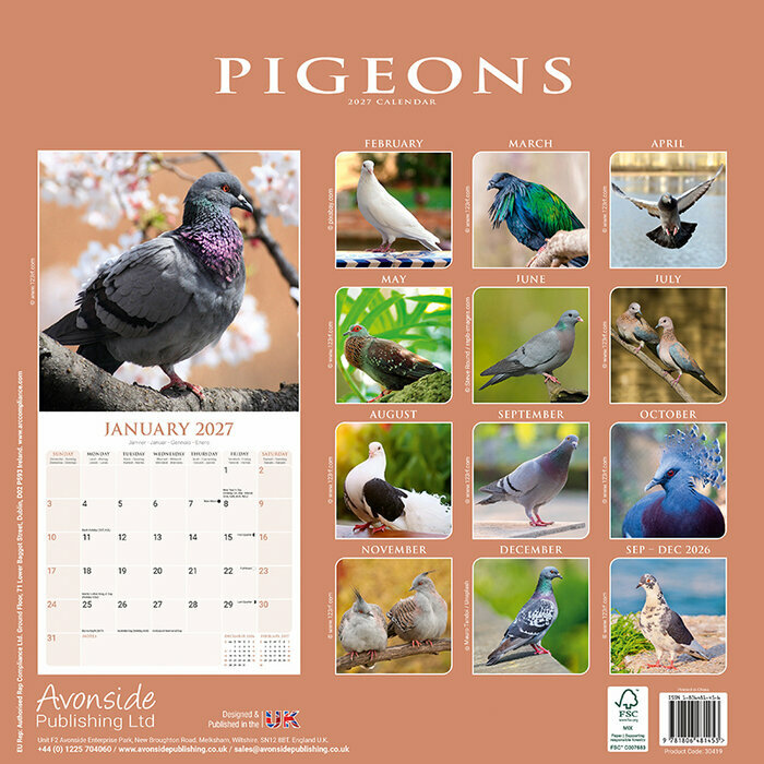 Calendrier 2027 Pigeon Calendrier Mural 2027 Pigeon
