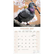 Calendrier 2027 Pigeon Calendrier Papier 2027 Pigeon