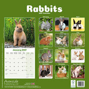 Calendrier 2027 papier Lapin
