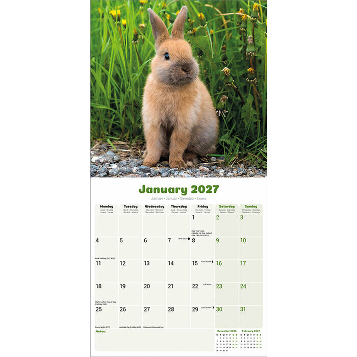 Calendrier 2027 papier Lapin