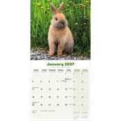 Calendrier 2027 papier Lapin