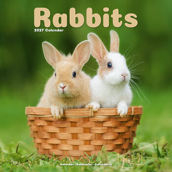 Calendrier 2027 Lapin