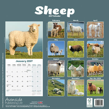 Calendrier 2027 Mouton