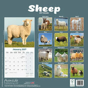 Calendrier 2027 Mouton Calendrier papier 2027 Mouton belier