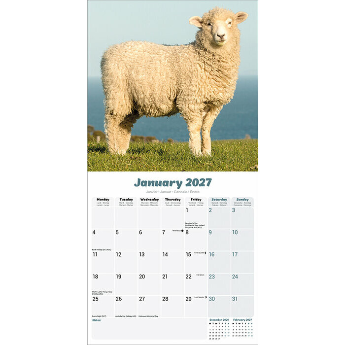 Calendrier 2027 Mouton Calendrier 2027 Mouton belier
