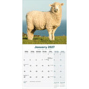 Calendrier 2027 Mouton Calendrier 2027 Mouton belier