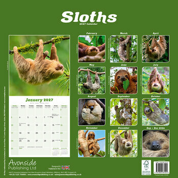 Calendrier 2027 Paresseux